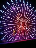 image/miyahashi-2006-05-05T21:49:32-1.jpg